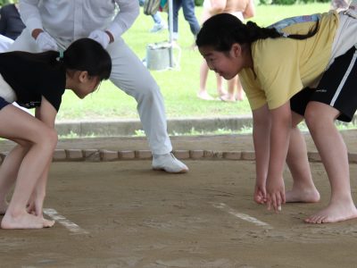 第37回わんぱく相撲浜松場所