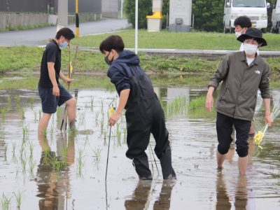 マイ（米）ホームスマイル～食への感謝を育もう～田植え体験