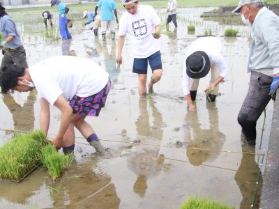 マイ（米）ホームスマイル～食への感謝を育もう～田植え体験