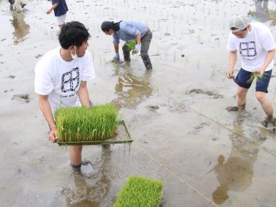 マイ（米）ホームスマイル～食への感謝を育もう～田植え体験