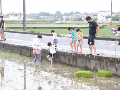 マイ（米）ホームスマイル～食への感謝を育もう～田植え体験