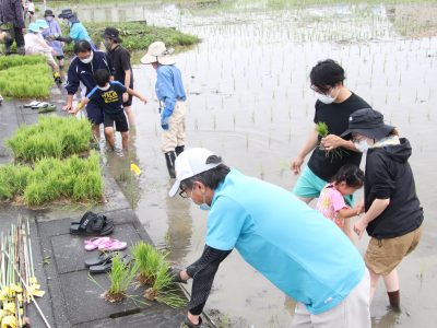 マイ（米）ホームスマイル～食への感謝を育もう～田植え体験