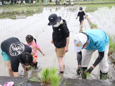 マイ（米）ホームスマイル～食への感謝を育もう～田植え体験