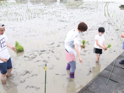 マイ（米）ホームスマイル～食への感謝を育もう～田植え体験