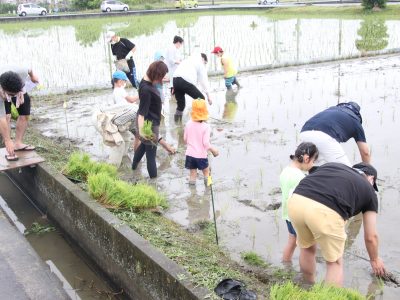 マイ（米）ホームスマイル～食への感謝を育もう～田植え体験