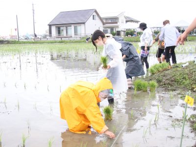 マイ（米）ホームスマイル～食への感謝を育もう～田植え体験