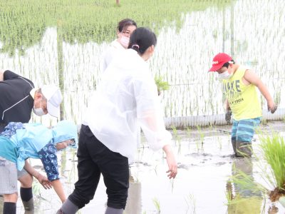 マイ（米）ホームスマイル～食への感謝を育もう～田植え体験