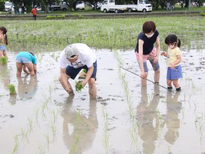 マイ（米）ホームスマイル～食への感謝を育もう～田植え体験