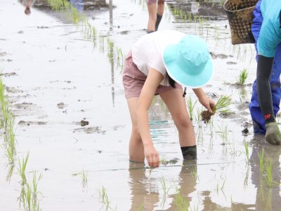 マイ（米）ホームスマイル～食への感謝を育もう～田植え体験