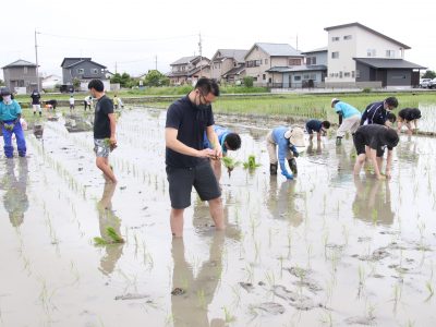 マイ（米）ホームスマイル～食への感謝を育もう～田植え体験