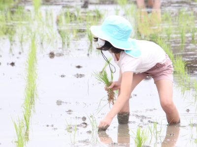 マイ（米）ホームスマイル～食への感謝を育もう～田植え体験