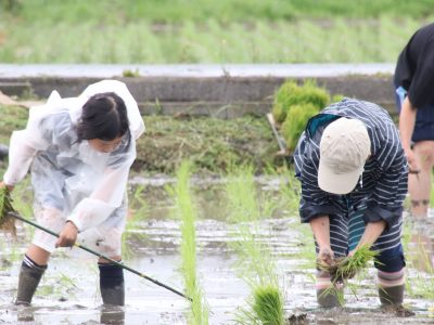 マイ（米）ホームスマイル～食への感謝を育もう～田植え体験