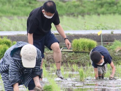 マイ（米）ホームスマイル～食への感謝を育もう～田植え体験