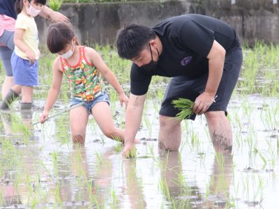 マイ（米）ホームスマイル～食への感謝を育もう～田植え体験