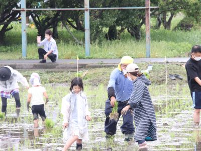 マイ（米）ホームスマイル～食への感謝を育もう～田植え体験