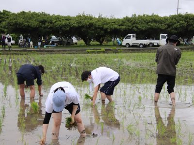 マイ（米）ホームスマイル～食への感謝を育もう～田植え体験