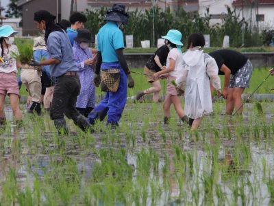 マイ（米）ホームスマイル～食への感謝を育もう～田植え体験