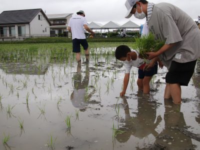 マイ（米）ホームスマイル～食への感謝を育もう～田植え体験