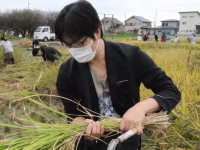 マイ（米）ホームスマイル～食への感謝を育もう～稲刈り