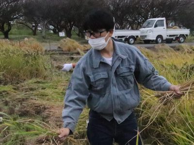 マイ（米）ホームスマイル～食への感謝を育もう～稲刈り