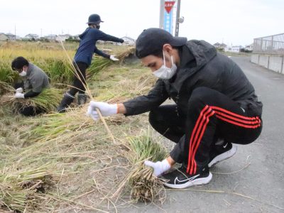 マイ（米）ホームスマイル～食への感謝を育もう～稲刈り