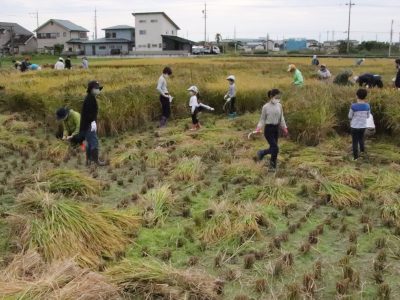 マイ（米）ホームスマイル～食への感謝を育もう～稲刈り
