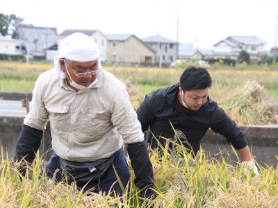 マイ（米）ホームスマイル～食への感謝を育もう～稲刈り
