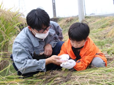 マイ（米）ホームスマイル～食への感謝を育もう～稲刈り