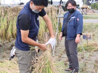 マイ（米）ホームスマイル～食への感謝を育もう～稲刈り