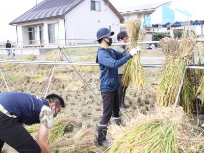 マイ（米）ホームスマイル～食への感謝を育もう～稲刈り