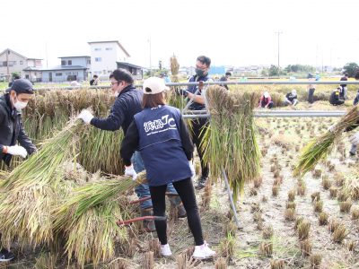 マイ（米）ホームスマイル～食への感謝を育もう～稲刈り