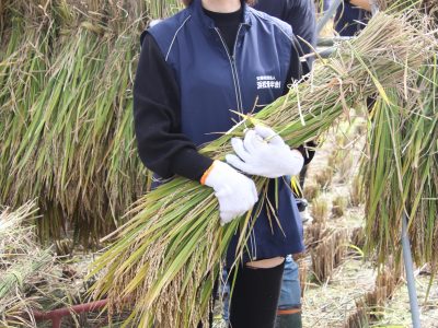 マイ（米）ホームスマイル～食への感謝を育もう～稲刈り