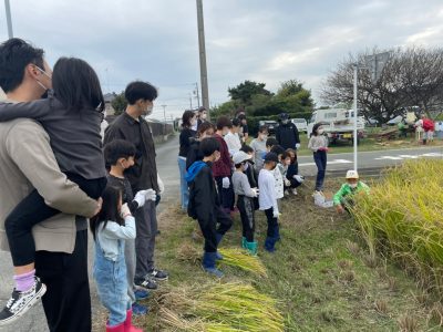 マイ（米）ホームスマイル～食への感謝を育もう～稲刈り