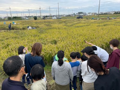 マイ（米）ホームスマイル～食への感謝を育もう～稲刈り
