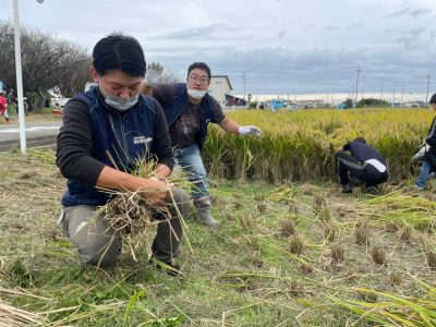 マイ（米）ホームスマイル～食への感謝を育もう～稲刈り