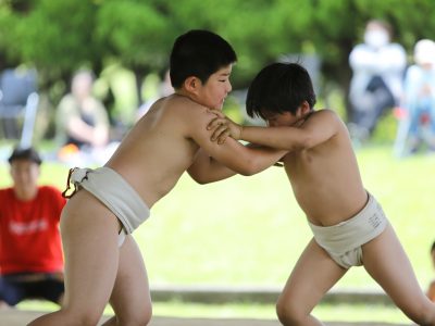 5月度例会「第３９回わんぱく相撲浜松場所」