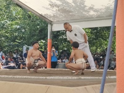 わんぱく相撲静岡県大会三嶋場所