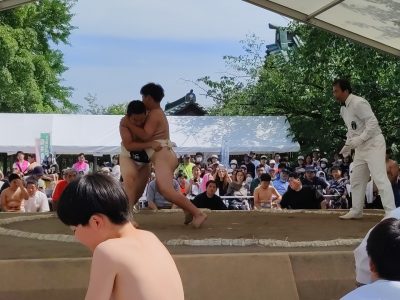 わんぱく相撲静岡県大会三嶋場所