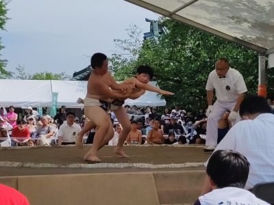 わんぱく相撲静岡県大会三嶋場所