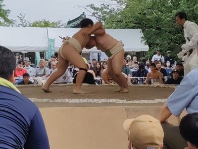 わんぱく相撲静岡県大会三嶋場所