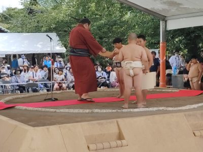 わんぱく相撲静岡県大会三嶋場所