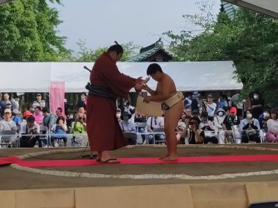 わんぱく相撲静岡県大会三嶋場所