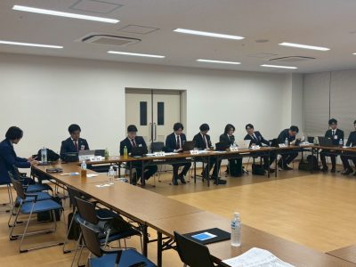 模擬理事会