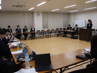 模擬理事会