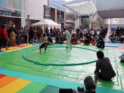 第40回わんぱく相撲